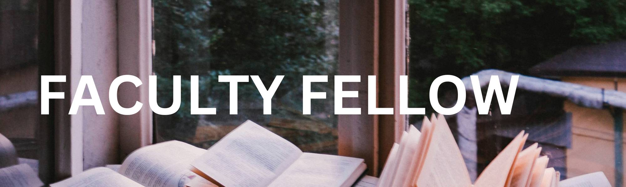 Heading: Faculty Fellow